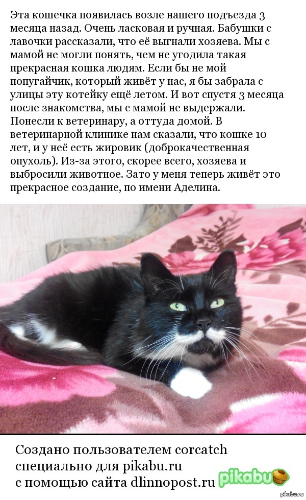 Пополнение в семье