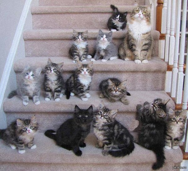 Карьерная лестница сильной и независимой женщины