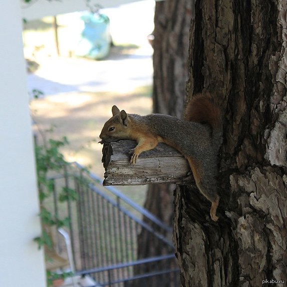 В ожидании пятницы.