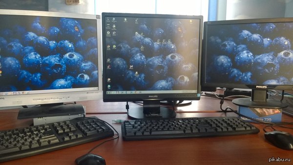 Ведь черника полезна для зрения :)