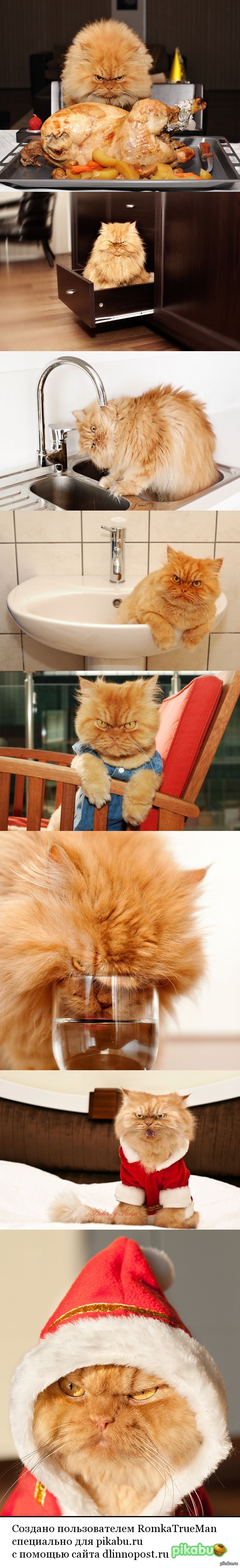 �����, ����� ������� �����.