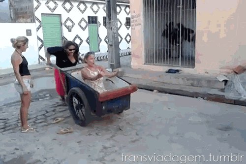Бабский дурдом