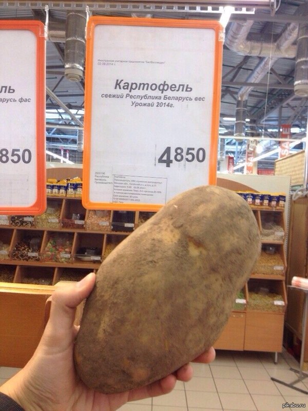 ������������� ������ �������