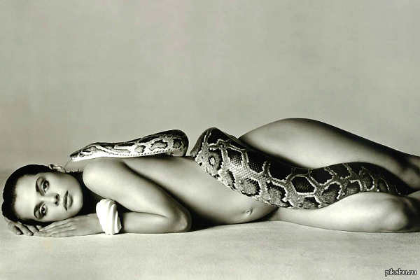 Nastassja Kinski in anticipation of the fruits of knowledge - NSFW, Actors and actresses, Nude, Python, The photo, Booty, Rhyme, Navel