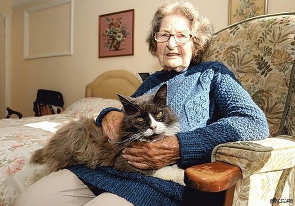 ����� ��������� �������� �������