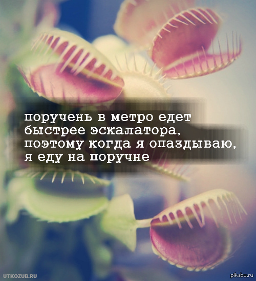 Лайфхак для опаздывающих