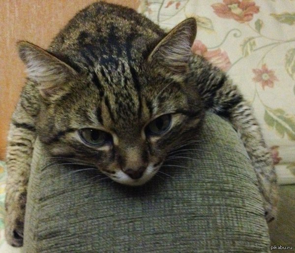 ��� ��� �������� ��� ���:D