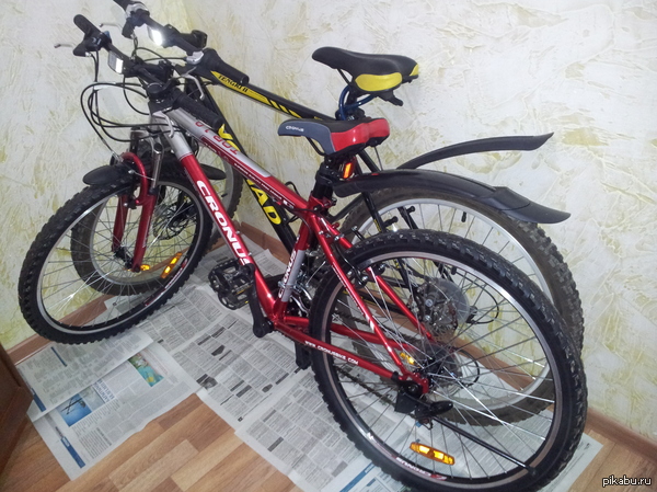 ��������� ����