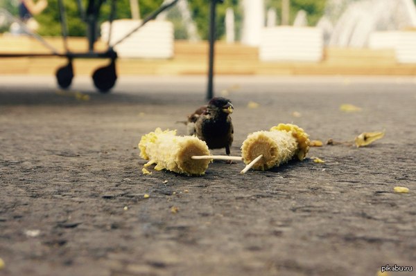 ���������!