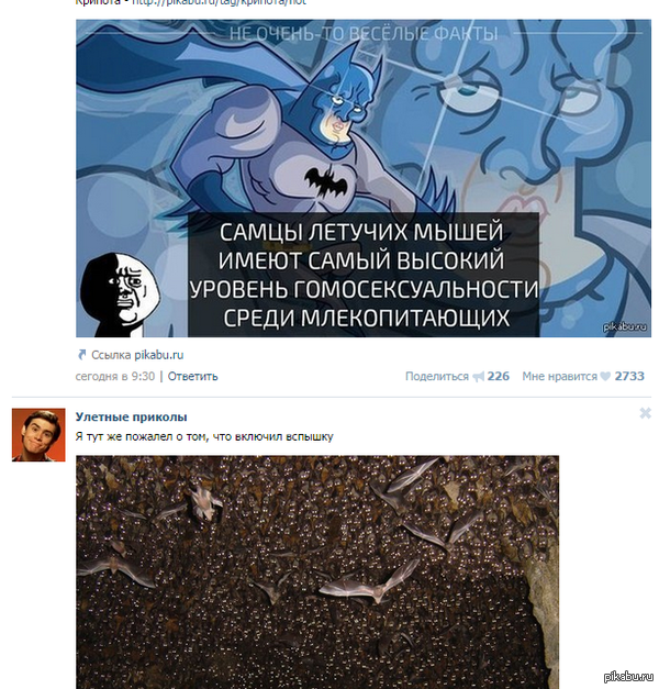 ��������� ����������