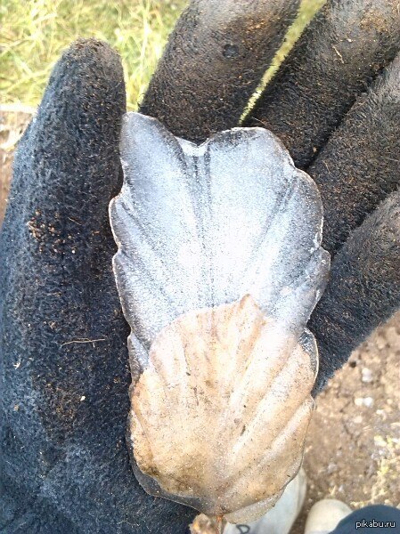 Лёд в капусте