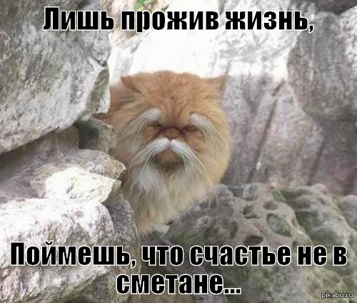 ��������.