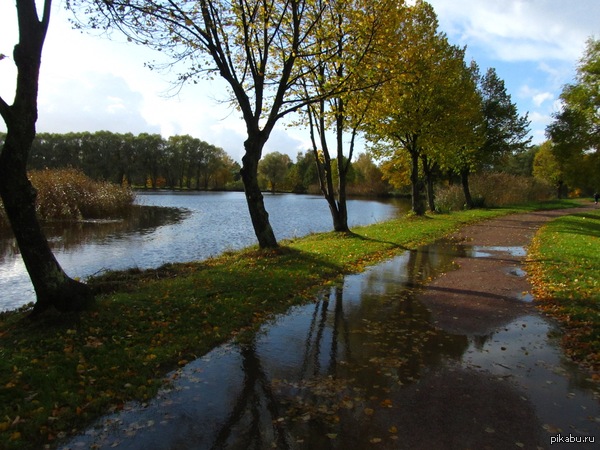 ����� �� ���� �����