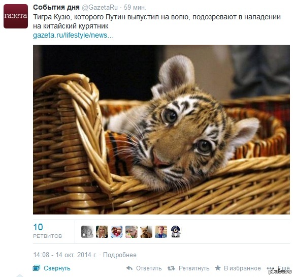 Диверсант Кузя