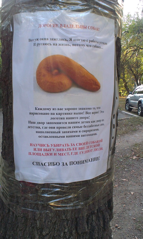 ����� ������������� �������.