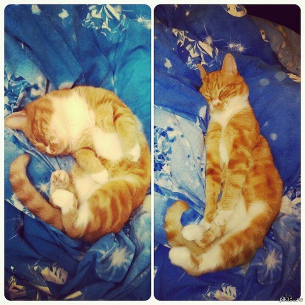 �� ������ ������� ���� ������ ��������� ����.