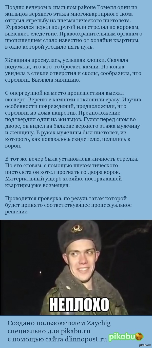 Мужчина «прогонял ворон», но пять раз попал из пневматики в окно  многоэтажки | Пикабу