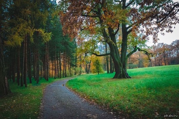 ������� ���������� �������