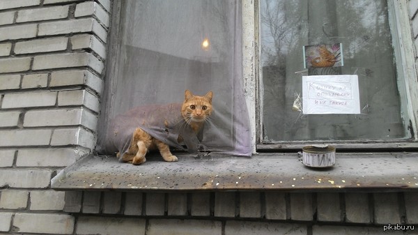 ��������� ��������� ���