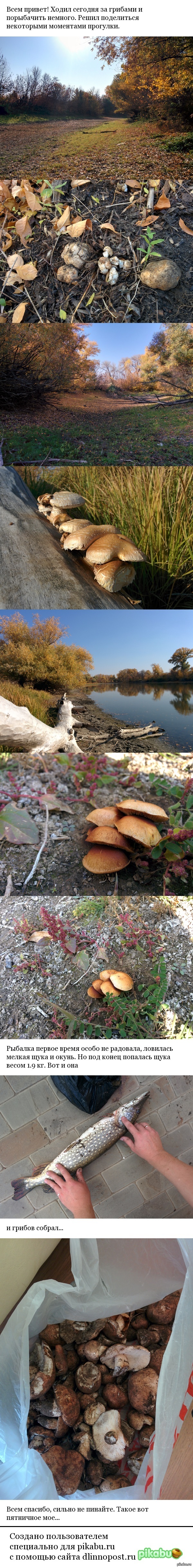 ��� ��������� ��������