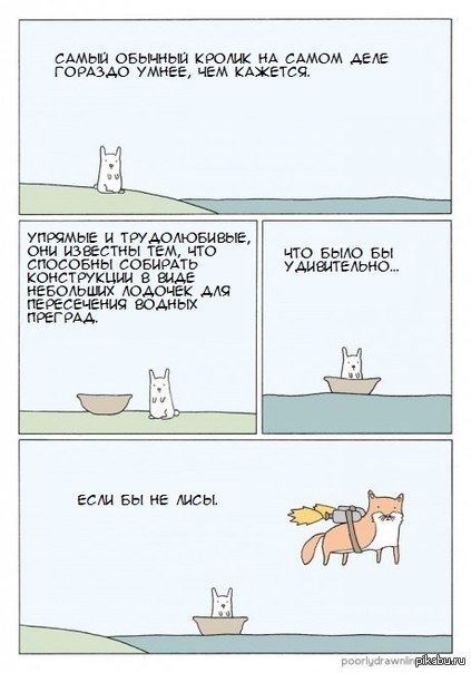 Ох уж эти Лисы)