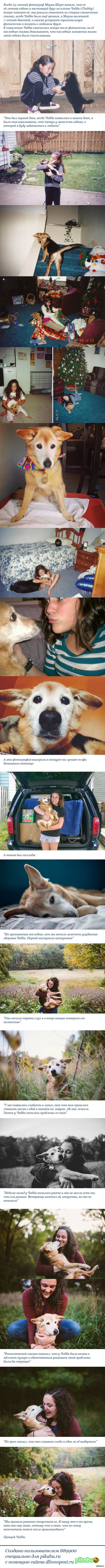 Трогательное прощание фотографа со своей 16-летней собакой