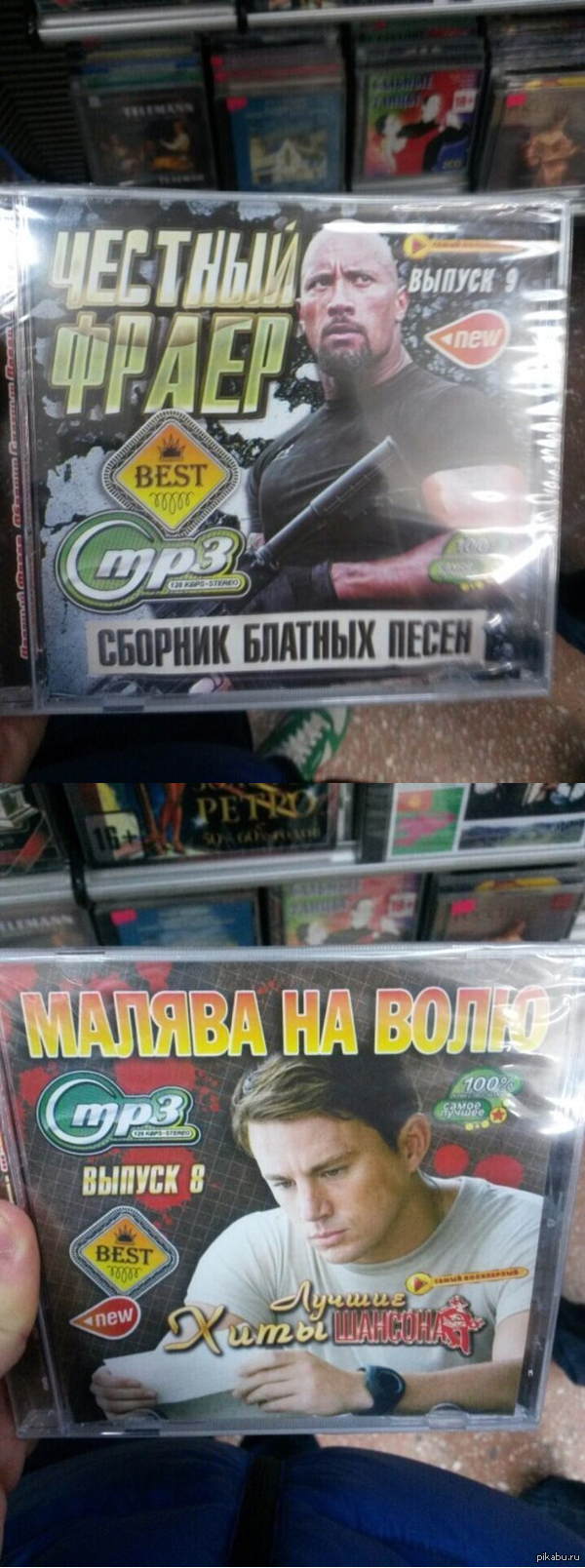 ���� ����������