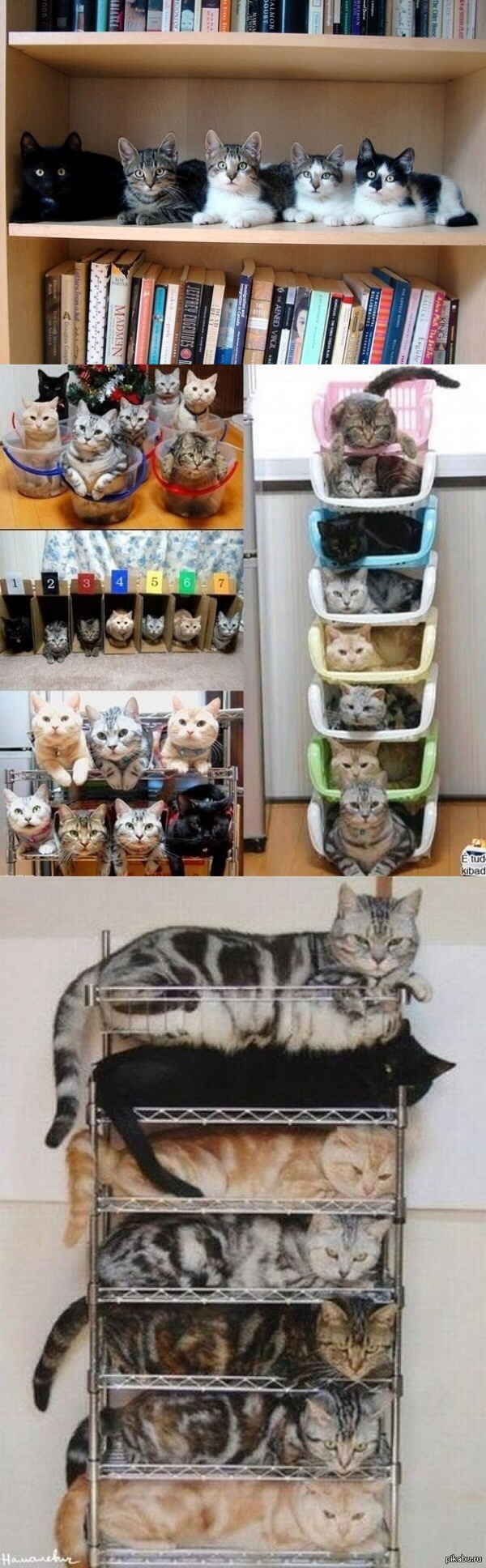 ����������� � �������� �����