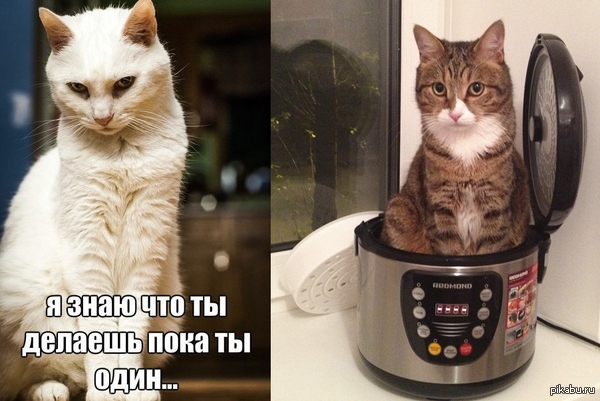 � ����, ��� �� ������� ���� �� ����...