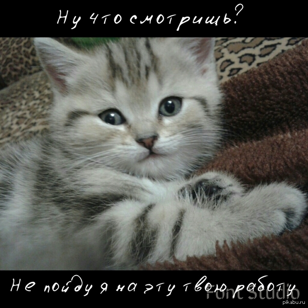   !  ...