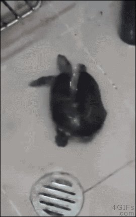     ? :) 