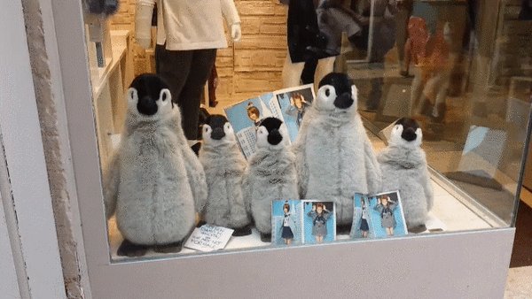 &quot;      ,   ! &quot;