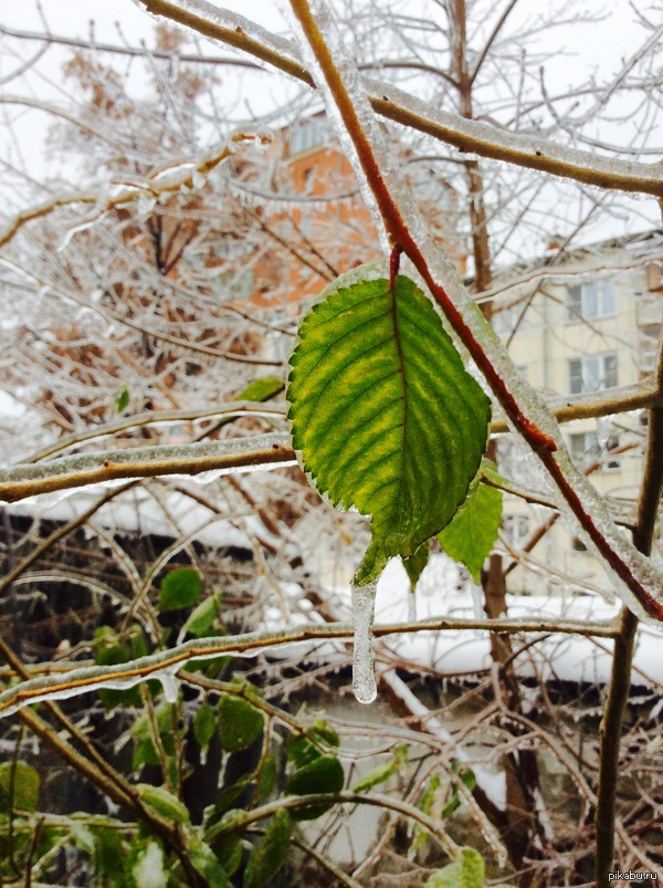 Еще немного о волшебной зиме в середине октября