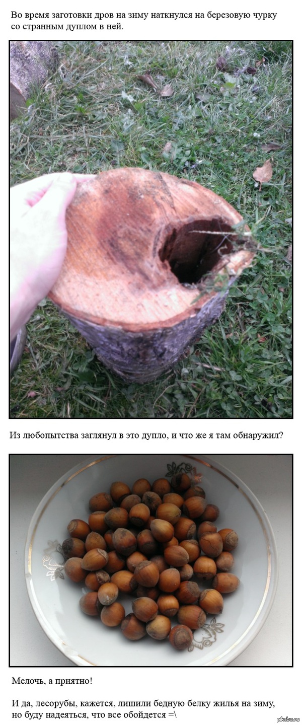 ������� �� �������