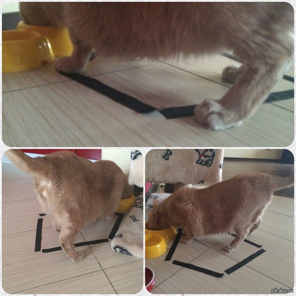 �� ��������, ������� �� �����.