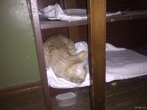  -   ,,   2,5-3(   ),,,, .-