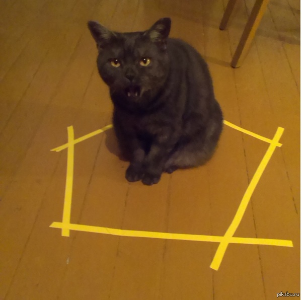 Это работает? :о