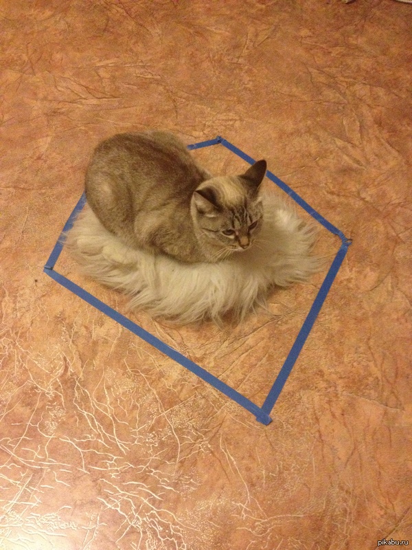 Это работает! ну почти...