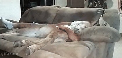  ! :)