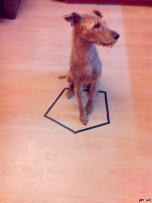 ������� � ���� ��� �� ����� �� ���..