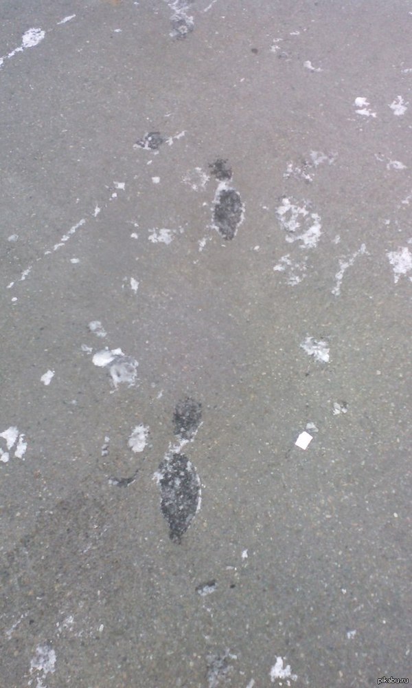 ������, ������� ������� ������ �����.