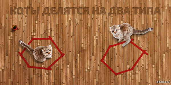 Ввиду последних событий