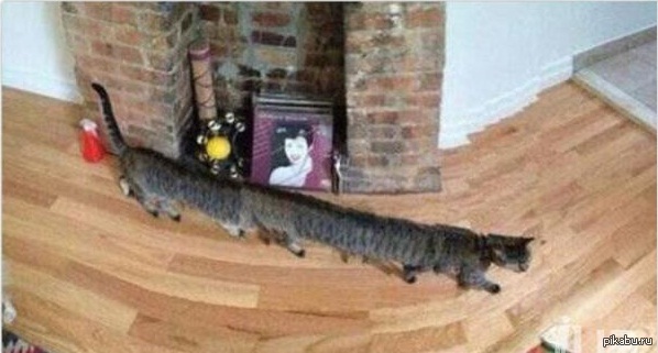 ДЛ-И-И-И-И-И-И-ННОКОТ.