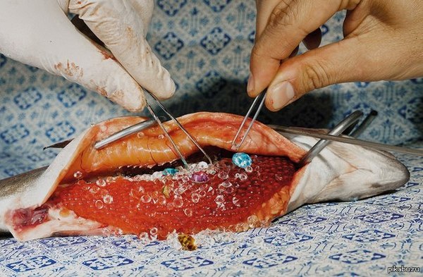 ������� �������� ����������� ����...