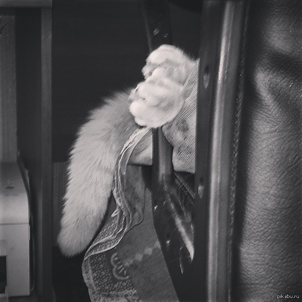 Кресло мое опять кто-то занял