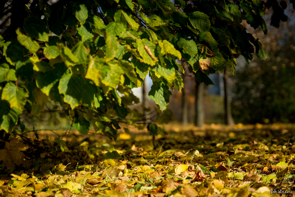 �����. ���������� �����!