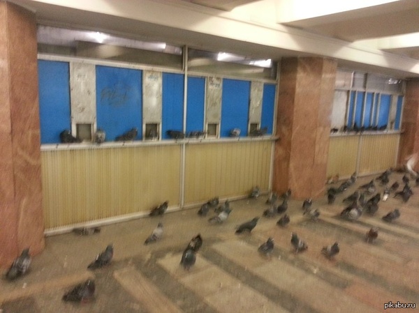 ������ ��������� �����.