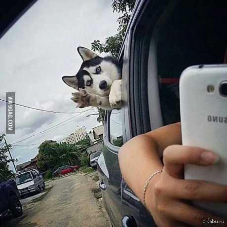 , !! 