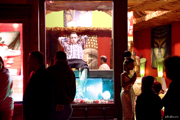 Невозмутимость 80 lvl