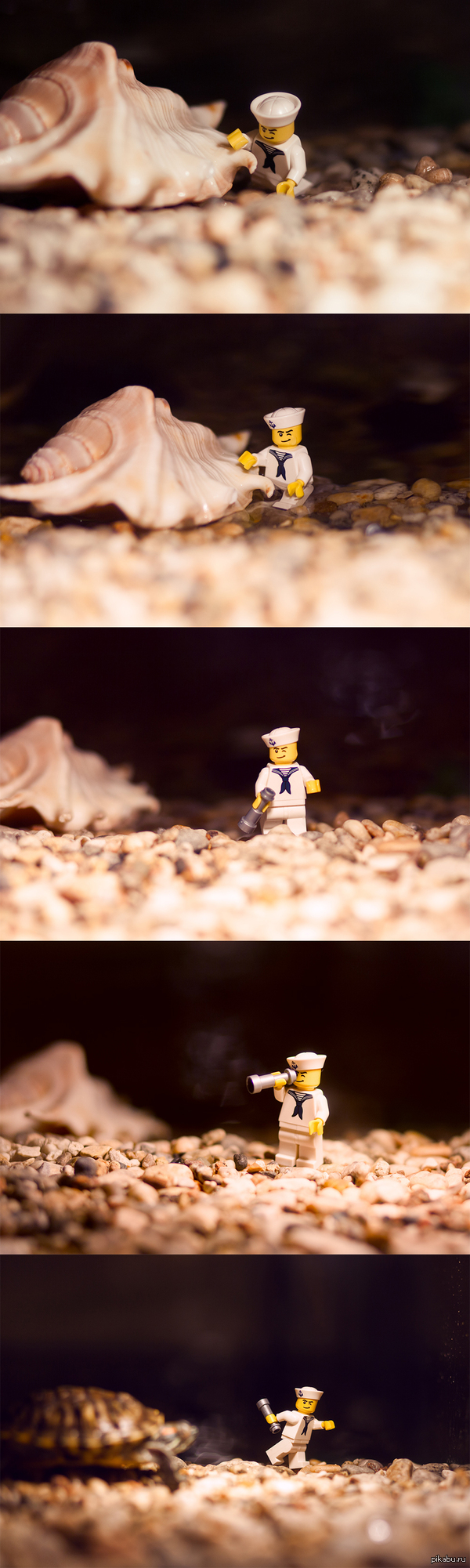 ������� ����������� ���������� �������